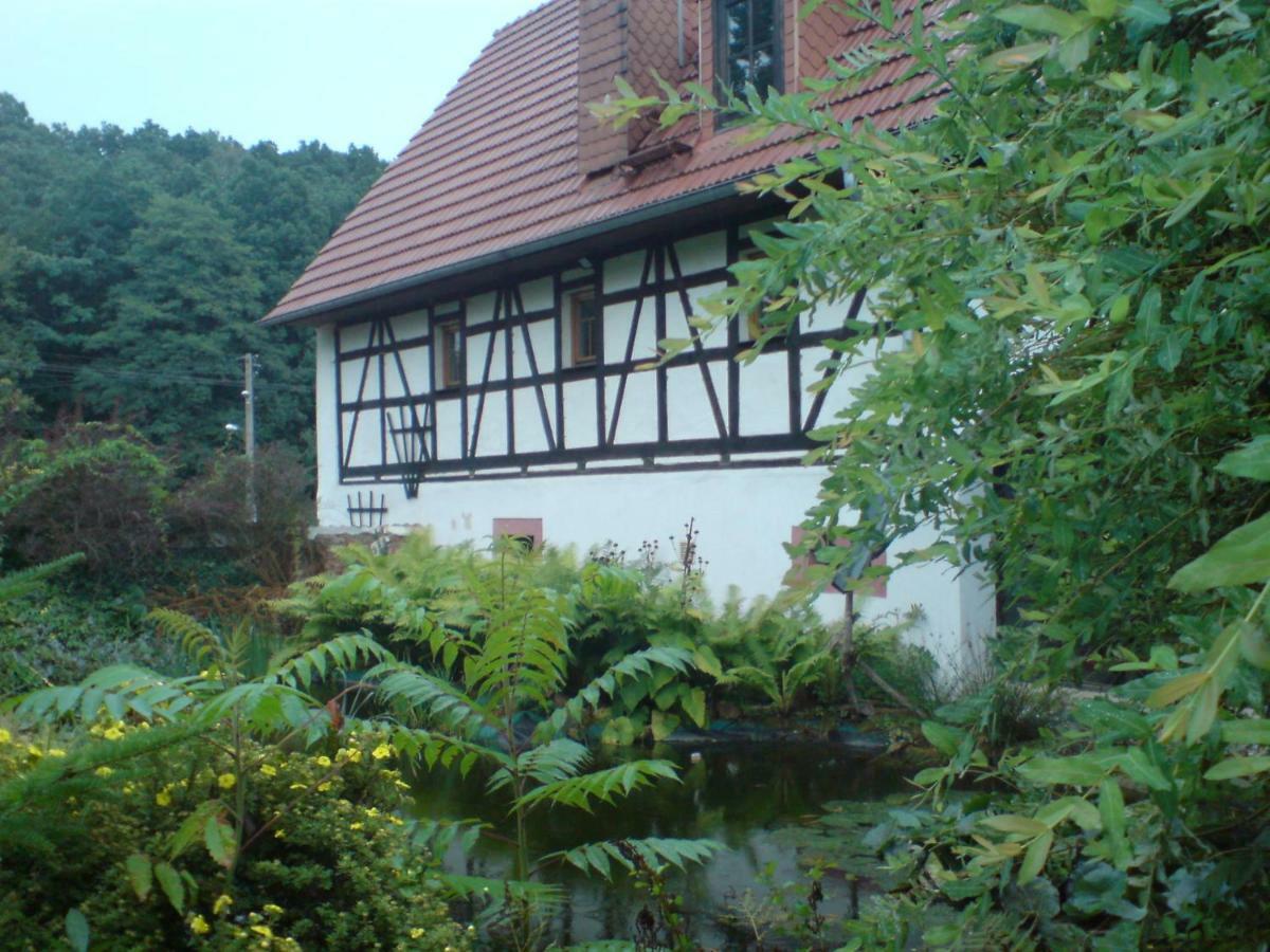 Restaurant & Pension "Bauernhof Zum Silberbergwerk" Limbach-Oberfrohna Exterior photo